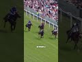 ¡El caballo sin jinete que ganó la carrera más increíble! 🐎#deporte