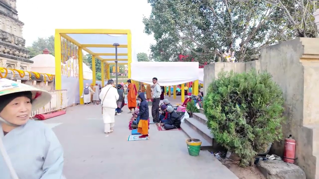 Bồ Đề Đạo Tràng 13012026 