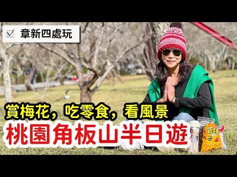 桃園復興角板山賞梅花_章新每年必去行程2025年1月8號
