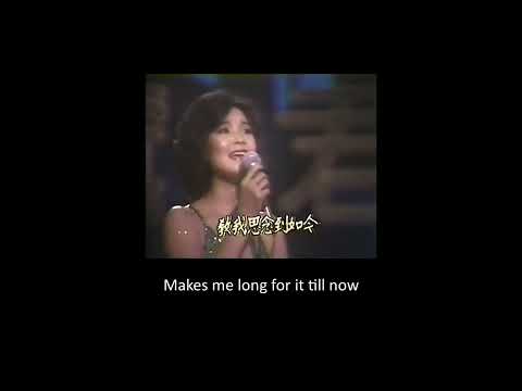 The Moon Represents My Heart Teresa Teng 