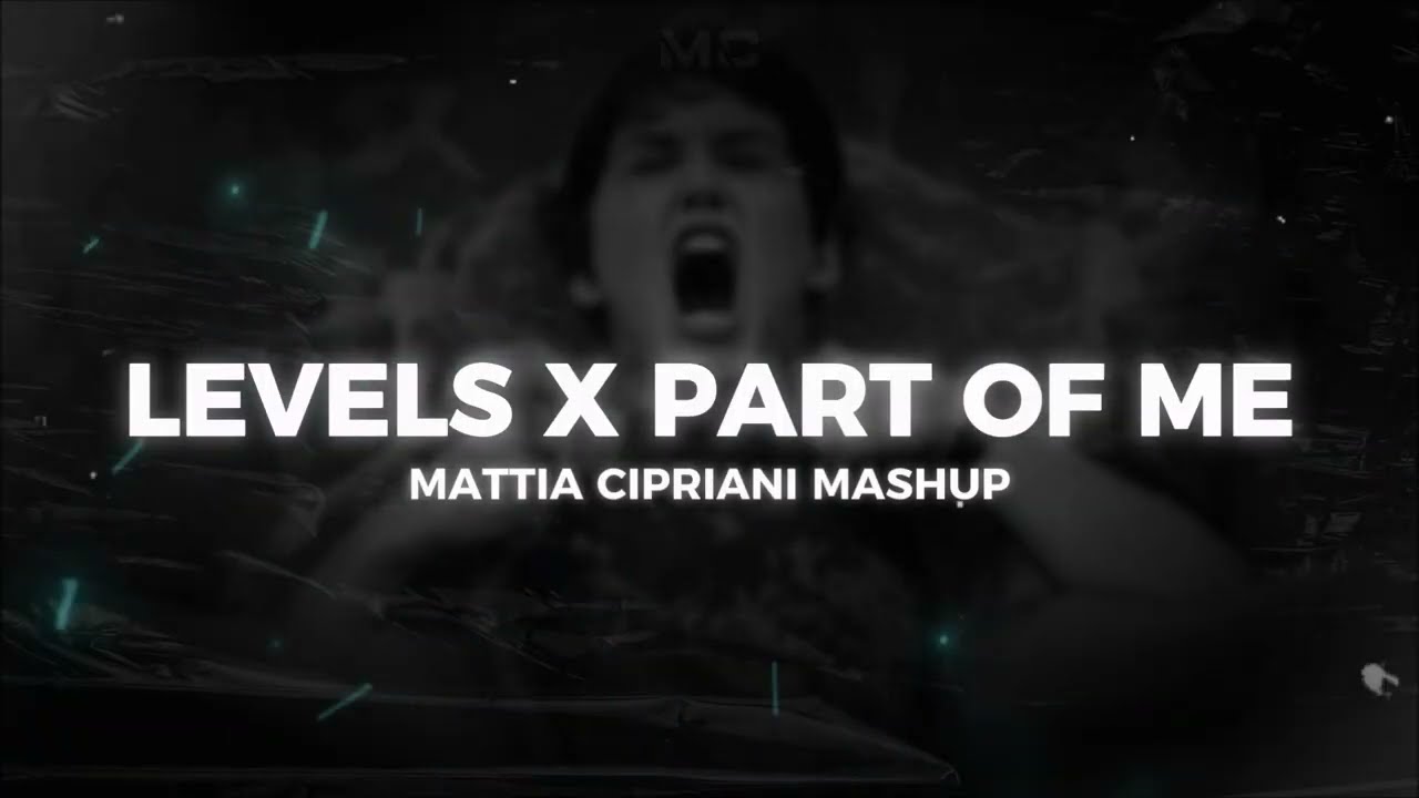 LEVELS X PART OF ME (Avicii, Katy Perry) [Mattia Cipriani Mashup]