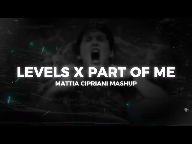 LEVELS X PART OF ME (Avicii, Katy Perry) [Mattia Cipriani Mashup]