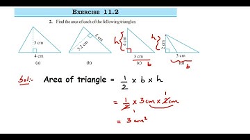 2q Ex 11.2 Class 7 Perimeter and area.Find the area of each of the following triangle