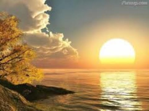 السعاده هى ايه