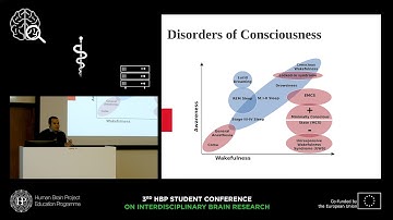 Mortaheb Sepehr - Graph signal processing of high density EEG signals in disorders of consciousness