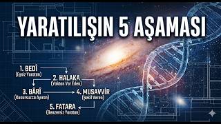 İnsan Da Yaratici Mıdır?