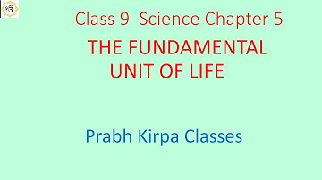 Q.1 Page 59 Ch.5 The Fundamental Unit of Life Class 9 Science NCERT who discovered cells and how