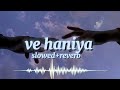 Ve Haaniyaan (Slowed   Reverb) | Ve Haniya Ve Dil Janiya | Danny