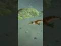 фотографії етап риба #spore #sporecommunity #sporeworld #sporeworld