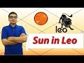 Sun in leo traits and characteristics  vedic astrology