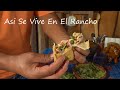 Prueba Estos Molotitos Y Te Van Encantar Así Se Vive en El Rancho