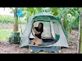 Solo Camping in the Banana Garden - Enjoy Delicious grilled chicken - Susu Vlog