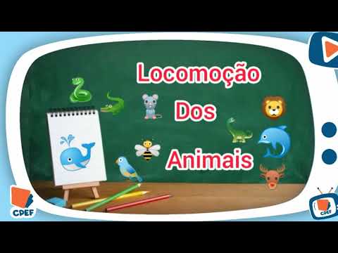 Locomoção dos animais _ Ciências_ Professora Margerlandia