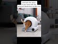 It’s 2026 why are we still manually scooping cat litter#cat #cute #viral #cats #cutecat #funny#pets