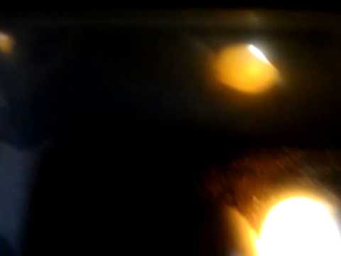 Candling ball python eggs