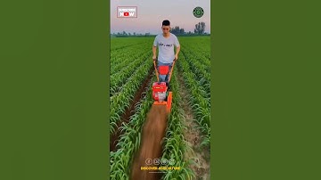 Powerful Mini Tiller