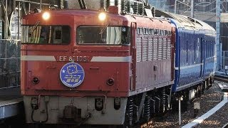 ブルートレイン・ニコニコ超会議号＝車内はカオス状態