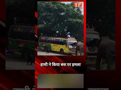 आंध्र प्रदेश के पार्वतीपुरम में एक बस पर हाथी ने किया हमला, जान बचाकर भागे लोग | Funny Video | Viral