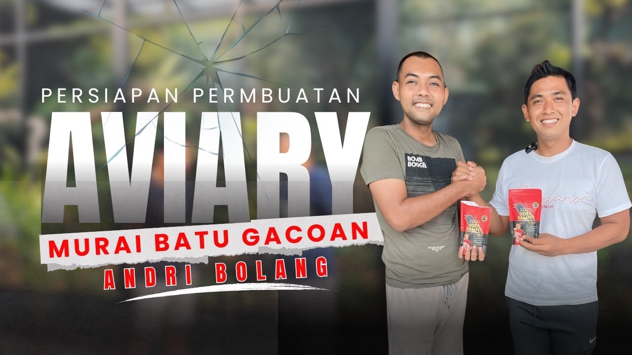 Inspirasi dari Aviary Om Acuz! Langkah Awal Pembangunan Aviary Jagoan Murai batu andri bolang