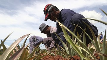 EU-SPC IKSA Project - SOIL CONSERVATION & EROSION CONTROL