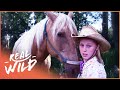 Hero Horse Leads Young Girl To Safety From Being Lost In The Forest | Pet Heroes | Real Wild