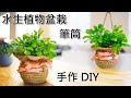 DIY水生植物盆栽 筆筒! 罐頭 手作 DIY 可放桌上也可吊掛! 罐頭玻璃空瓶再利用!How to make potted plants !  鉢植えの作り方! 空のガラス瓶の使用