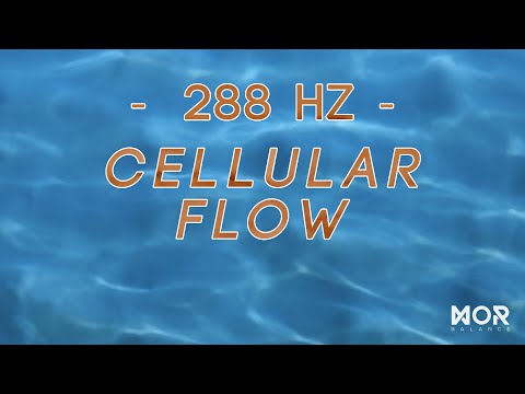 Cellular Flow (288 Hz) | Renewal and Relaxation