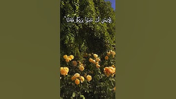 ربنا إننا سمعنا مناديا ينادي للإيمان  | تلاوة عذبة للشيخ محمود خليل الحصري | سورة آل عمران آية 193