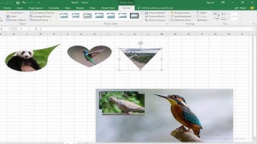 How to Crop Image to Shape in Microsoft Excel 2017