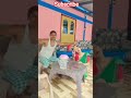 Mama Ki Hobo Aamar🥺🤔#funny #comedy #acting #shorts #status #viralreel #hit#trending #song #video