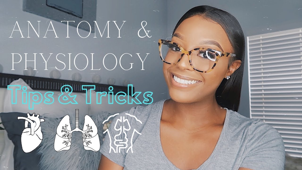 How To Get An A In Anatomy  Physiology ♡ | Tips  Tricks | Pass AP With Straight A'S!