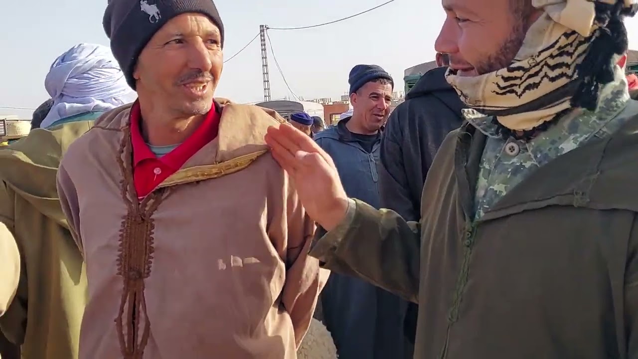 سوق الماشية🐏 واسعار في متناول جميع بلدية سيدي بوبكر ولاية سعيدة سوق محمي  بأمن داخلي يوم 11/04/2023