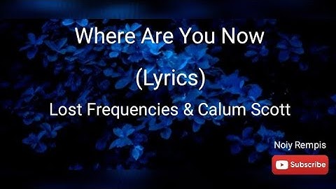 Where Are You Now (Lyrics) - Lost Frequencies & Calum Scott