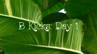 B-Kicks: Day 1