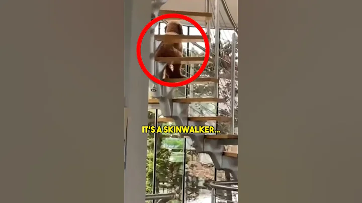 SKINWALKER Pretends to be His Dog…