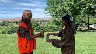 Vertex Form Math Music Video- Roberts