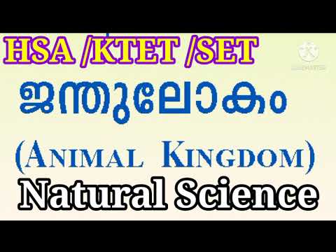 ANIMAL KINGDOM- NATURAL SCIENCE