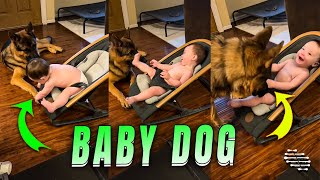Playful Interaction Between Baby and Dog