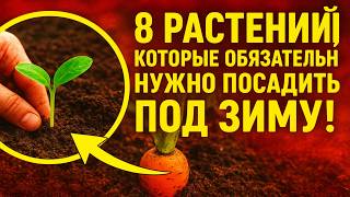 картинка: 8 растений, которые ОБЯЗАТЕЛЬНО нужно посадить под зиму. Урожай на месяц раньше всех! 🌿