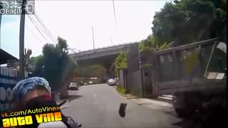 Auto Vine 218