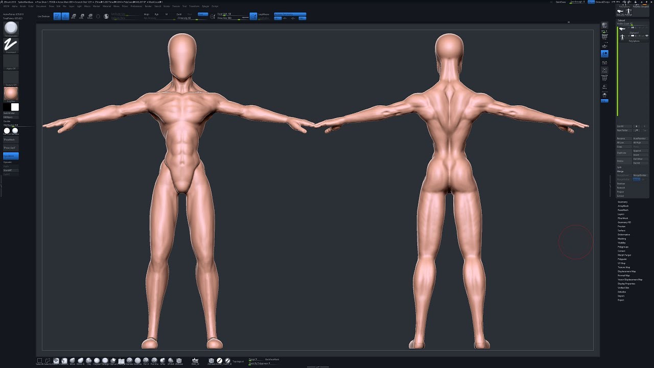 Female Custom Base Mesh 3d Model