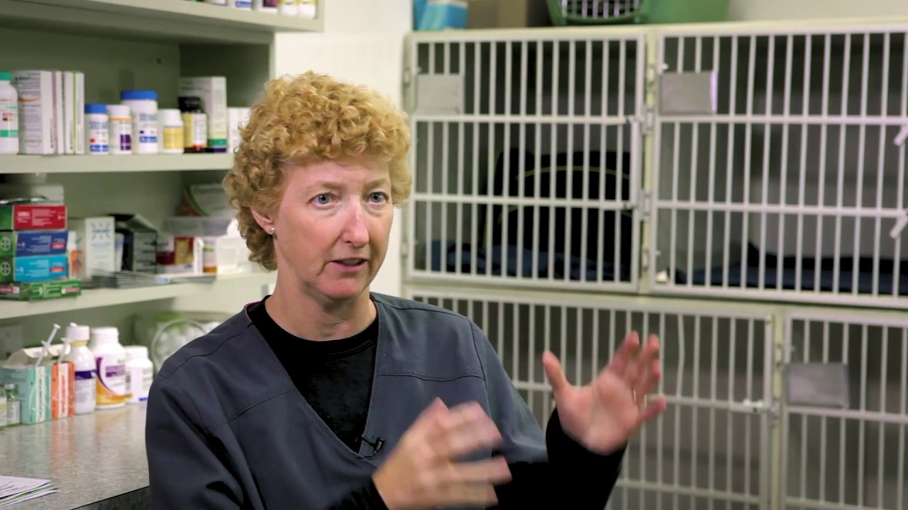 Canadian Veterinarian relies on ultrasound in first step of patient