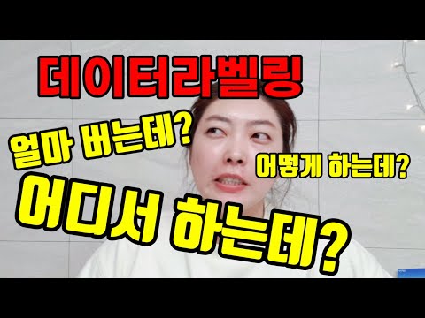   데이터라벨링 알바 부업 사이트 모음 데이터라벨러 후기 슬아TV