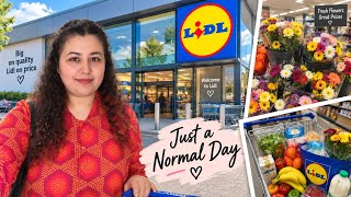 Come Grocery Shopping With Us 🛒 | What We Buy at Lidl in Ireland