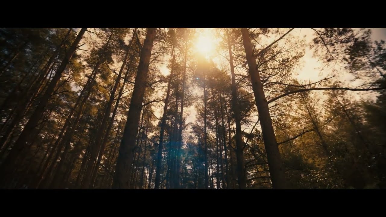THOR: THE LAST STAND (2026) Review