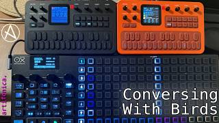 Conversing With Birds (a live minimal / ambient jam over some birds in my yard) - HWJ - FM-1