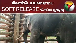 ரிவால்டோ யானையை SOFT RELEASE செய்ய முடிவு | Elephant screenshot 5