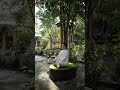 Quân Nguyễn - Trì niệm 108 biến thần chú Om Mani PadmeHum Mantra #nammoadidaphat #ommanipadmehum