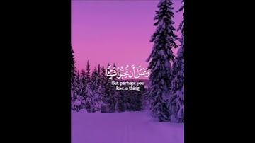 وعسى أن تكرهوا شيئا وهو خير لكم) اسلام صبحي  - Islam Sobhi | سورة  #quran البقرة