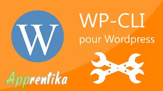 Information Wordpress: Boostez votre productivité avec wp-cli News